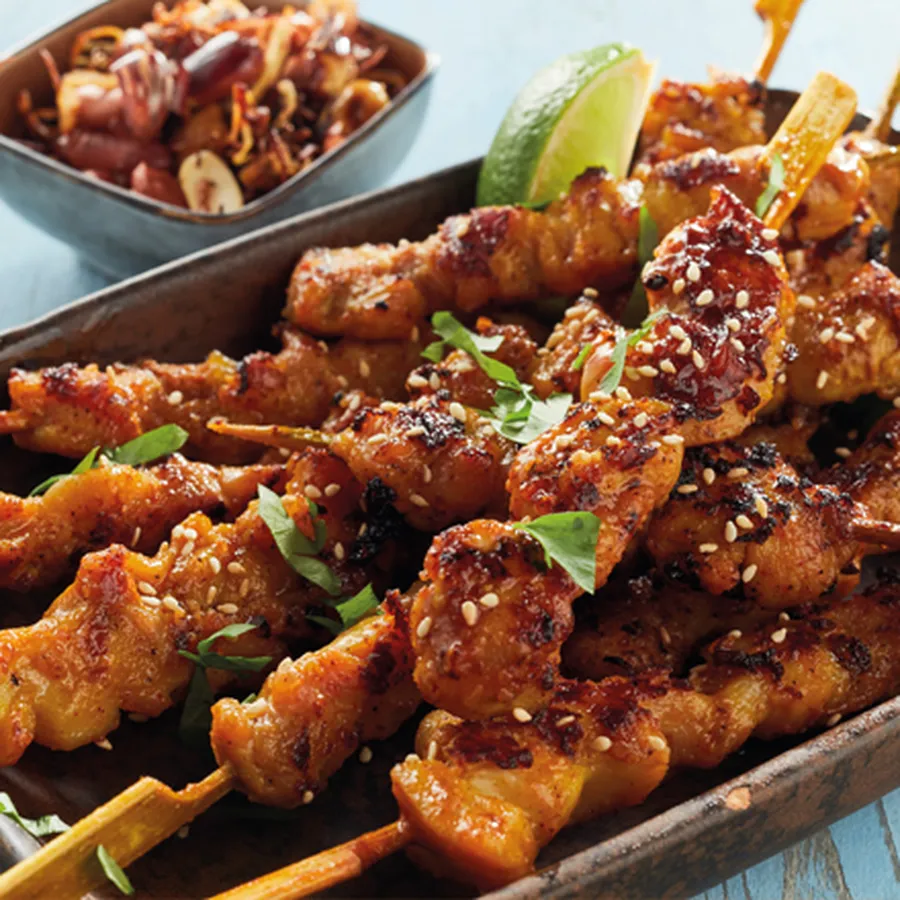 Yakitori-Spieße